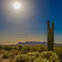 Desert Sunset Saguaro Cactus Landscape Art